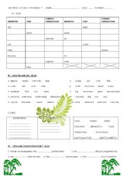 English Worksheet: WILD ANIMALS