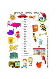 English Worksheet: Singular Plural Forms