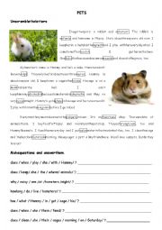 English Worksheet: Pets (a rabbit and a hamster)