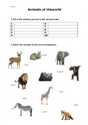 English Worksheet: animals of the world