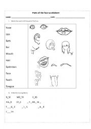 English Worksheet: Parts of the body