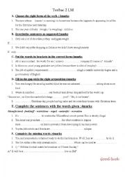 English Worksheet: GRAMMAR AND VOCABULARY TEST