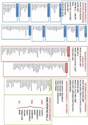 English Worksheet: Describing people