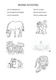 English Worksheet: Colors and animals