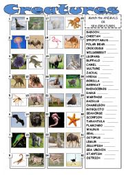 English Worksheet: Creatures of land and sea 