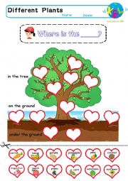 English Worksheet: Where does the plant grow