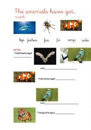 English Worksheet: Living things and living-non things