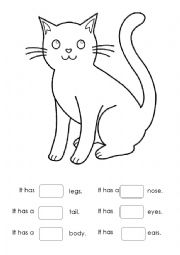 English Worksheet: Winnie & the Cat Coloring WS