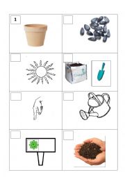 PLANTING A SEED WORKSHEET WITH BLANKS TO FILL IN WITH SENTENCES