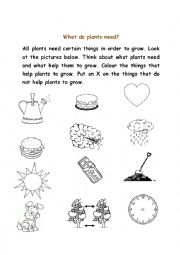 English Worksheet: what do plants need?