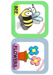 Spring flashcards