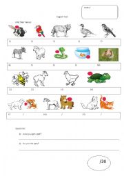 English Worksheet: test: pets