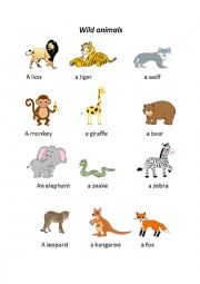 WILD ANIMALS