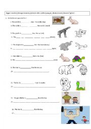 English Worksheet: Comparative Adjectives Exercises