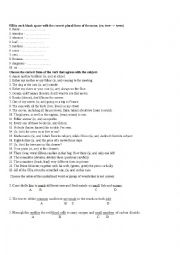 English Worksheet: Noun Plural/ Singular