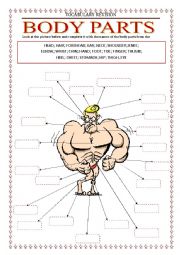 English Worksheet: Vocabulary Revision - body parts 1