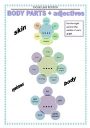 Vocabulary Revision - body parts 2