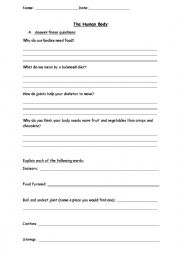 English Worksheet: The Human Body