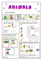 English Worksheet: ANIMALS