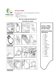 English Worksheet: Exercises on Noun