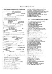 English Worksheet: Simple Present - Grammar Exercises