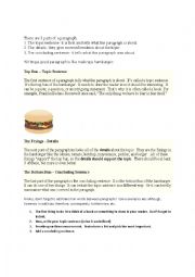 5 Paragraph Essay Instruction