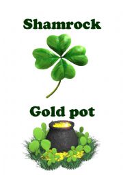 English Worksheet: St Patricks Day FLASH-CARDS