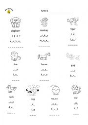 English Worksheet: animals