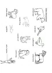 English Worksheet: Colour these animals