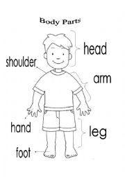 English Worksheet: Body parts