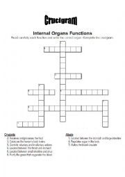 English Worksheet: Internal Body Organs Crucigram