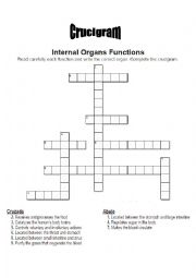 Internal Body Organs Crucigram