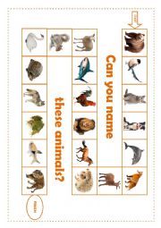 Animals Board Game