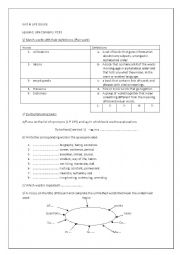 English Worksheet: unit4 lesson1 Life Issues 