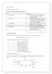 unit4 lesson1 Life Issues 