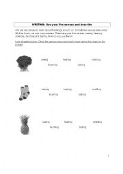 English Worksheet: writing: the five senses