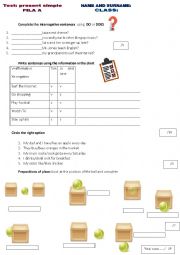 English Worksheet: test: revision present simple -frequency adverbs-prepositions of place