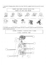 English Worksheet: Internal Organs and Illnesses