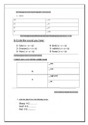 English Worksheet: test