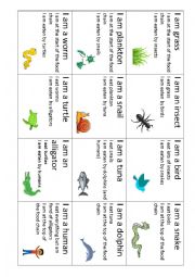 The food chain worksheets