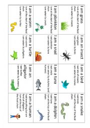 English Worksheet: Food Chain Cards 02