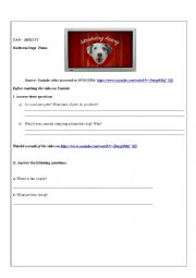 English Worksheet: Can / ability - Herliston Dogs Home
