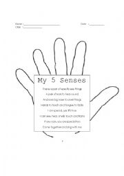 Five Senses worksheet