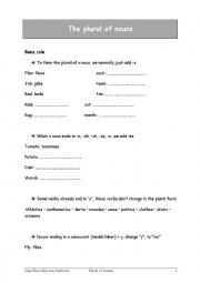 English Worksheet: plural of nouns