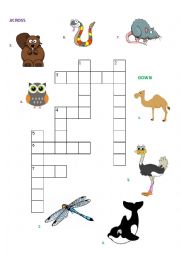 English Worksheet: Animals Criss - Cross Puzzle (key included)