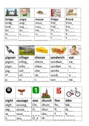 English Worksheet: spelling