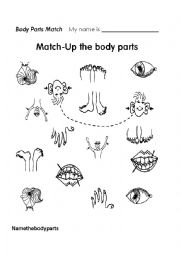 body parts