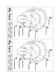 English Worksheet: FACE PARTS