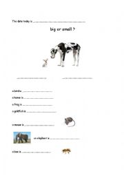 English Worksheet: big / small