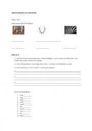 English Worksheet: Animal Body Parts and Adaptations